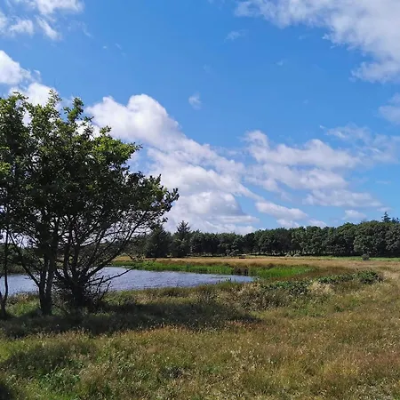 6 Person In * ויירס סטרנד