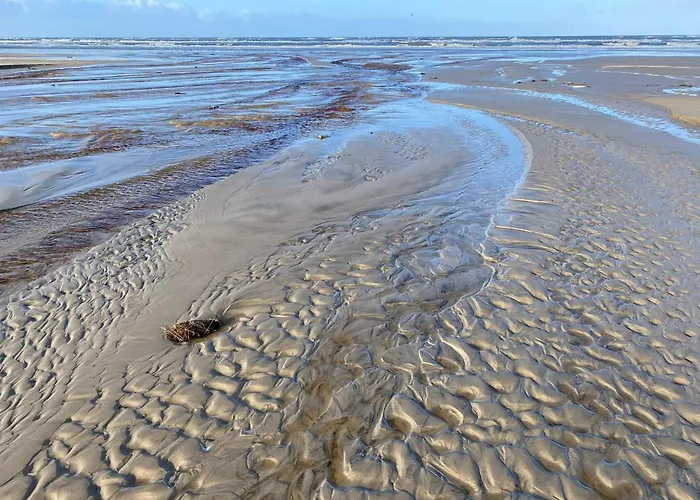 6 Person In Hébergement de vacances